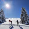 stages ski de fond Haute Savoie Nordic